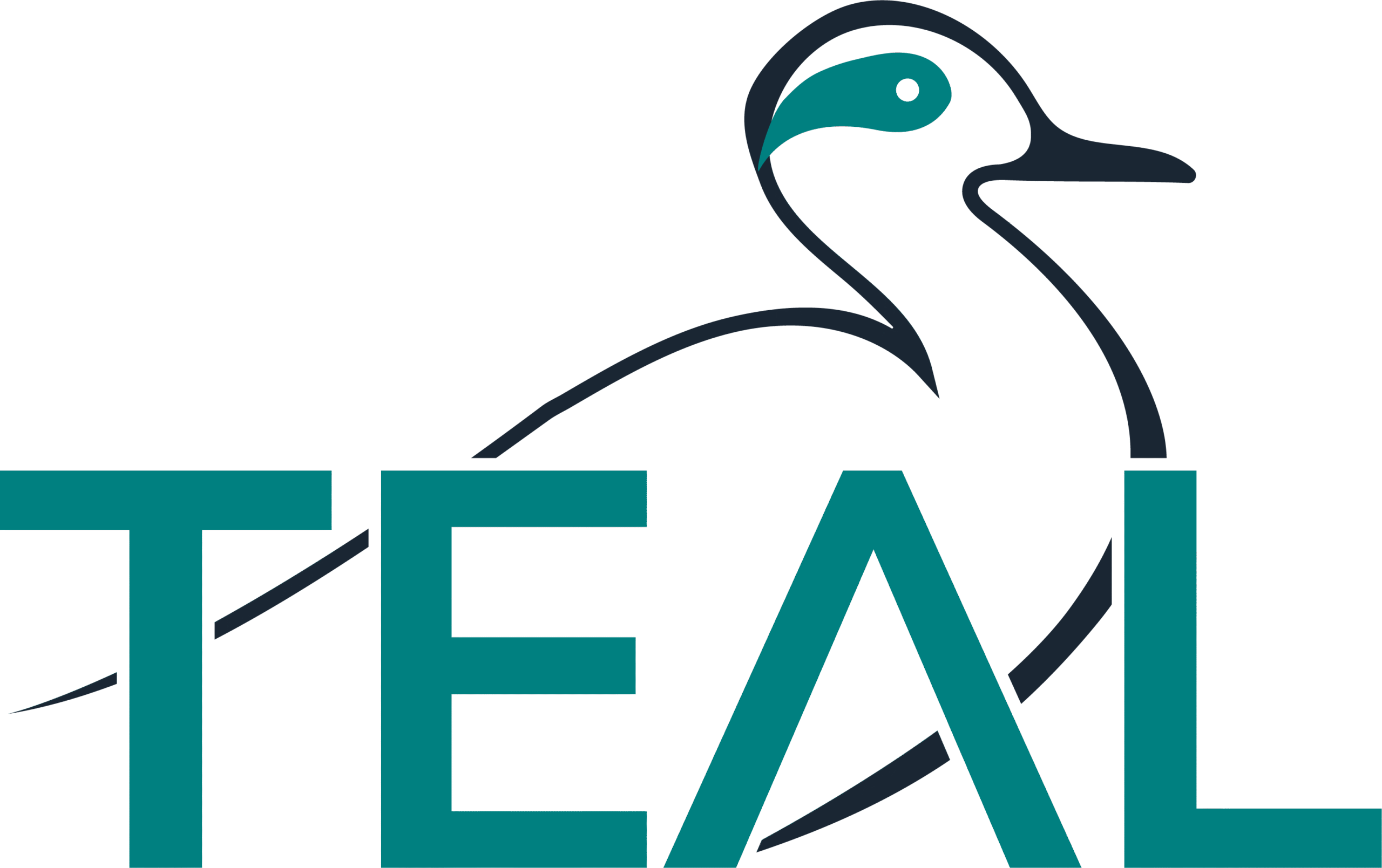 TEAL_Primary Logo